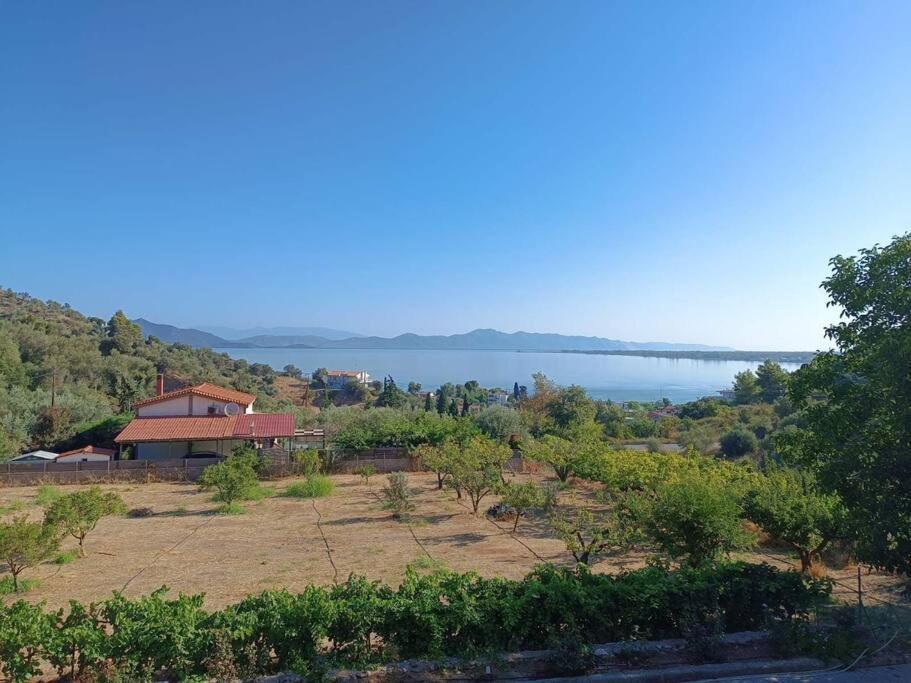 Ολόκληρος Όροφος Αγροτική Οικία Apartment Neos Pirgos Bagian luar foto