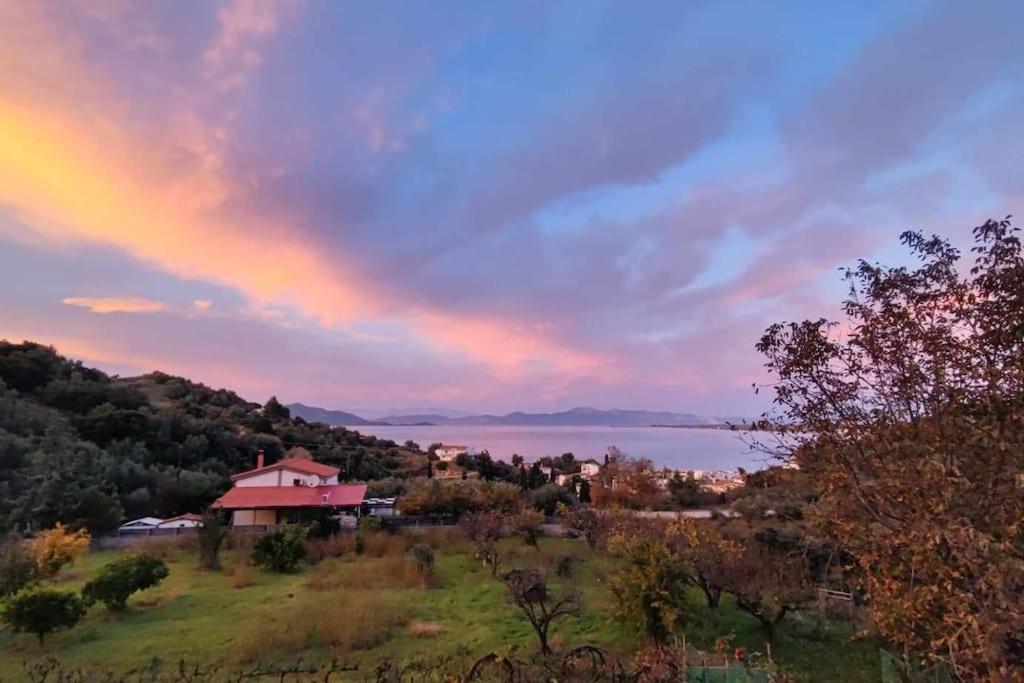 Ολόκληρος Όροφος Αγροτική Οικία Apartment Neos Pirgos Bagian luar foto